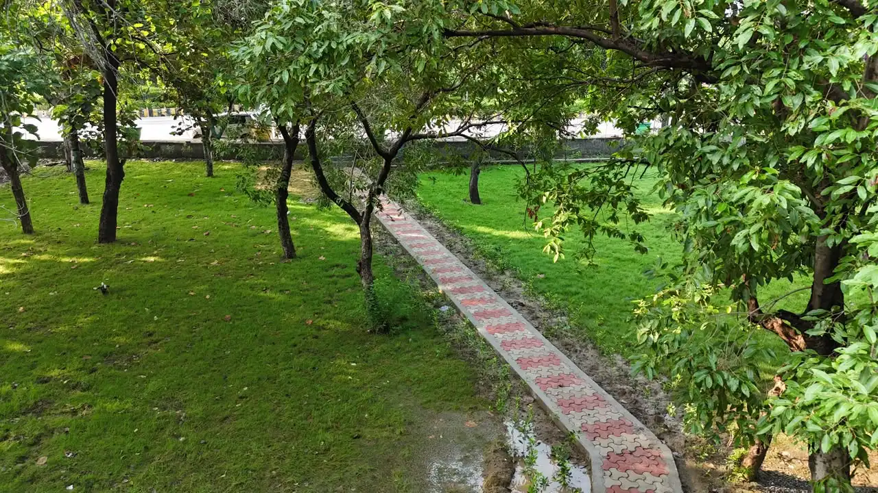 Public Park Redevelopment